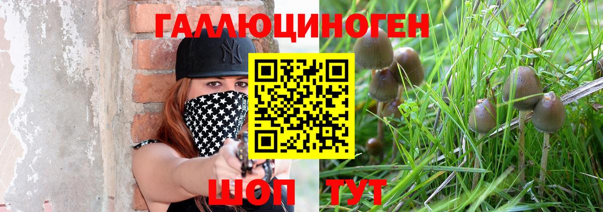 Псилоцибиновые грибы Psilocybe  Вход с VPN  Елабуга  Псилоцибиновые грибы Cubensis 