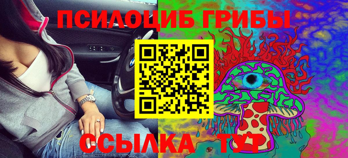 Псилоцибиновые грибы Psilocybine cubensis Елабуга
